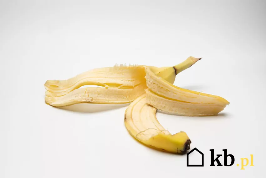 skórka z banana