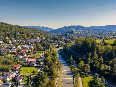 Dane demograficzne Polscki