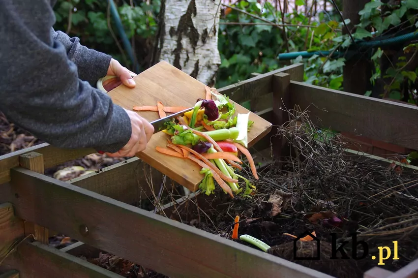 Naturalny kompost z obierków