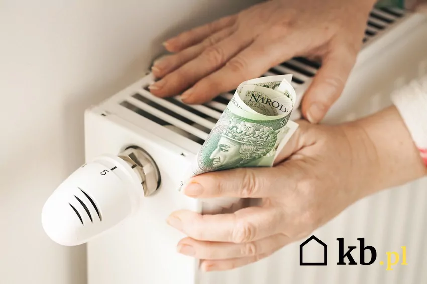 Gaz i węgiel to popularne metody ogrzewania. Która z nich jest tańsza? ciepły kaloryfer, pieniądze