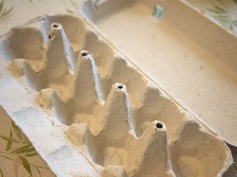 Gdzie wyrzucać opakowania po jajkach