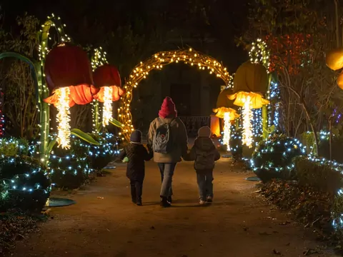 „Magiczny Botaniczny” w Warszwie