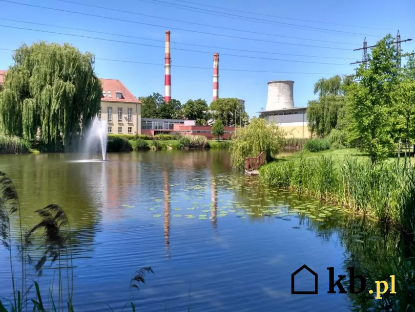 Aż ponad połowa powierzchni gminy znajduje się w granicach Parku Krajobrazowego Doliny Odry i Oławy, fot.siechnice.gmina.pl Siechnice park