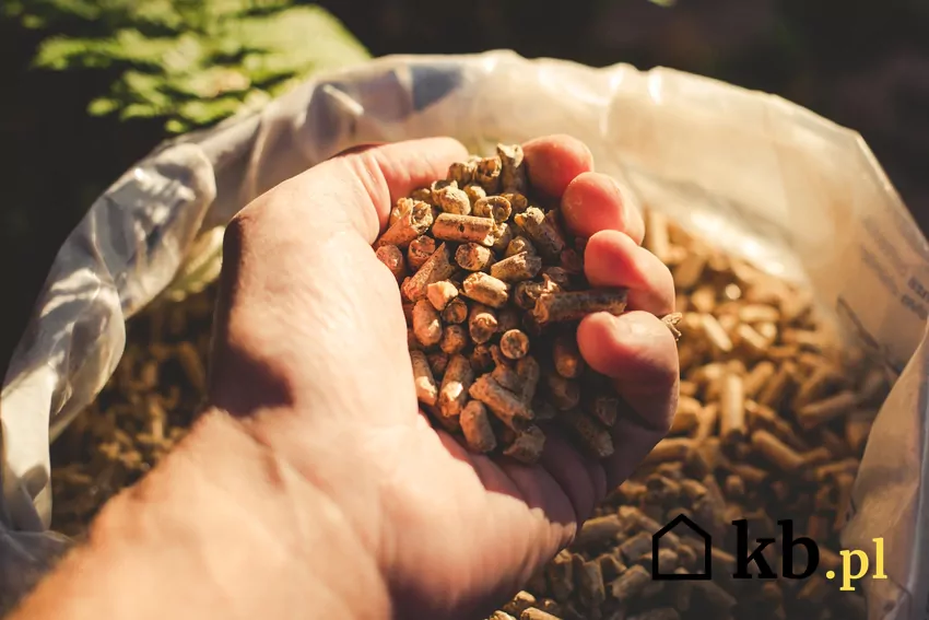 Początek sezonu grzewczego wiąże się z okresowymi podwyżkami cen pelletu pellet workowany, pellet w dłoni