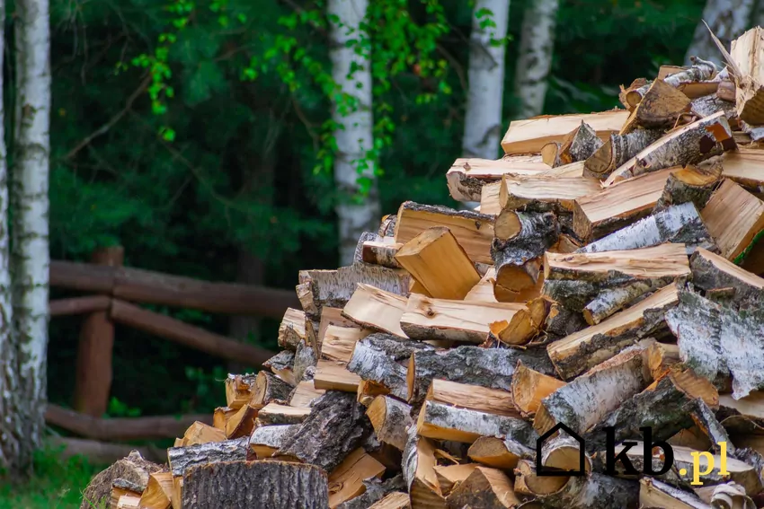 Sterta drewna opałowego na świeżym powietrzu