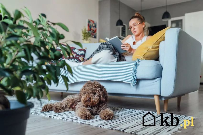 Dodaj osobiste akcenty - zdjęcia, pamiątki i rośliny sprawią, że wnętrze nabierze charakteru Przytulny salon