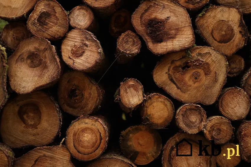 Drewno opałowe w formie wałków trzeba przed suszeniem pociąć na odpowiedniej długości kawałki Zakup typowego sortymentu opałowego S4 warto zastąpić zakupem drewna S2 bez zgnilizny