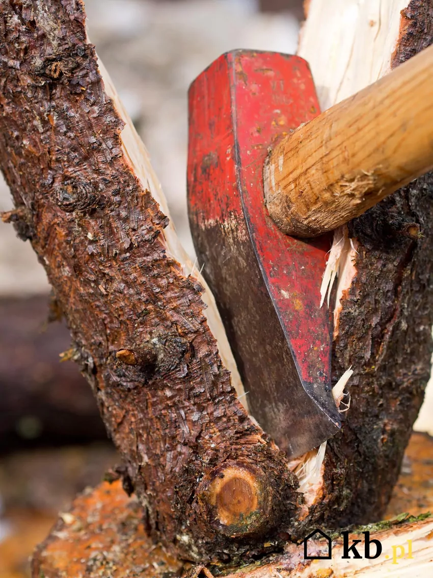 Pocięte wałki opałowe muszą być połupane na niewielkie polana Łupanie drewna może być zdrową aktywnością sportową