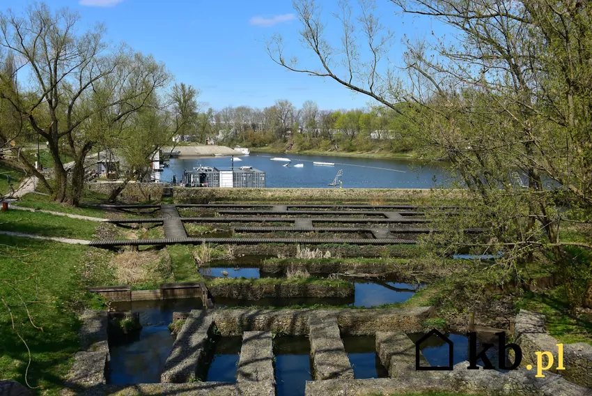 Port Czerniakowski, widok od ul. Zaruskiego Port Czerniakowski