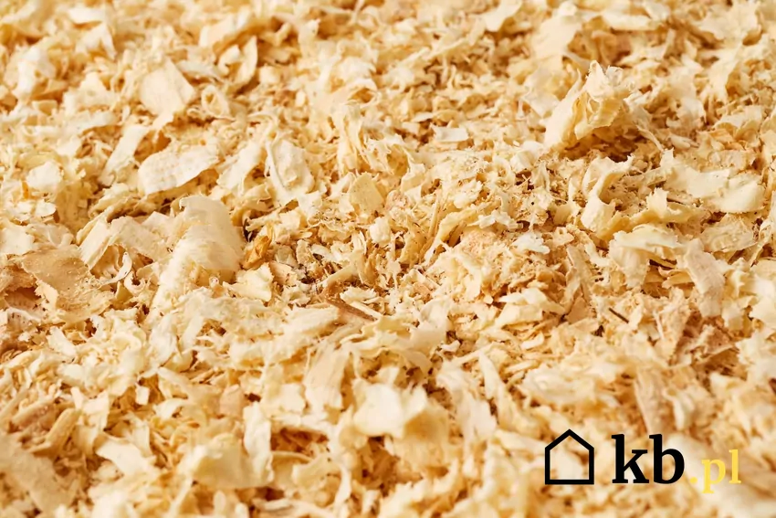 trociny, zrębki drzewne