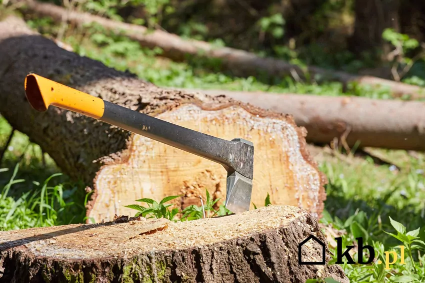 Nie można zalegalizować wykonanej wcześniej samowolnej wycinki drzew Siekiera wbita w pień drzewa