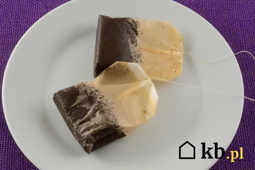 Zużyte fusy od herbaty można wykorzystać do nawożenia roślin. Nie wszystkie jednak reagują dobrze na herbatę. zużyte torebki z herbaty