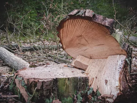 Tani opał z ogłoszeń lokalnych