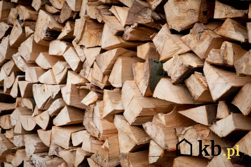 drewno bukowe do kominka