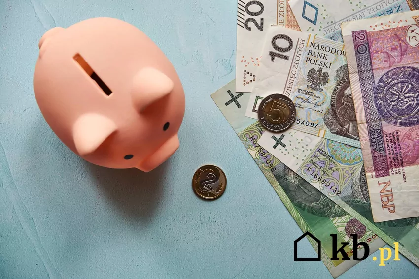 skarbonka, polskie pieniądze