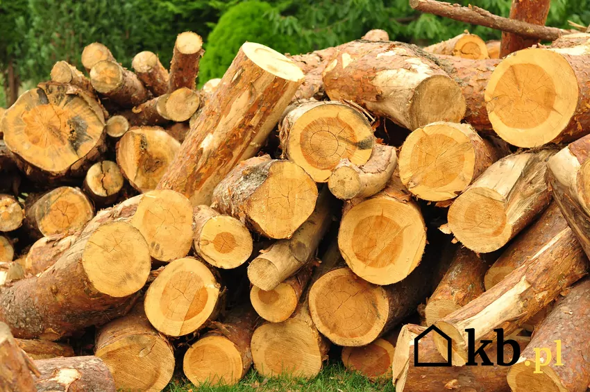 Nie wszyscy sprzedawcy drewna grają fair – warto wiedzieć, jak rozpoznać uczciwego dostawcę i sprawdzić, czy opał faktycznie jest suchy i gotowy do palenia. stos drewna opałowego