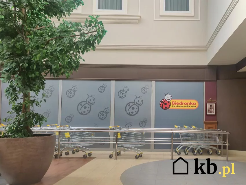 Od 27 do 31 października duże promocje w Biedronce Wejście do Biedronki