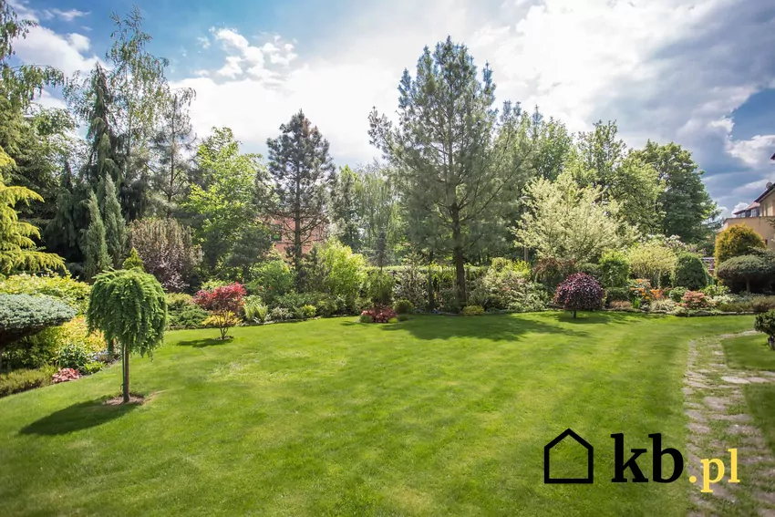 Ogród pełen drzew, krzewów i kwiatów