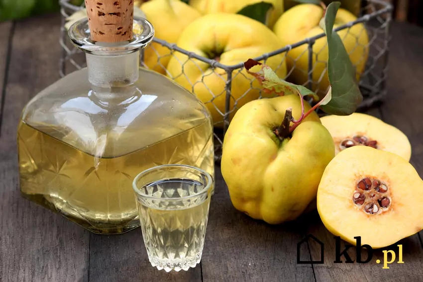 Domowa nalewka z pigwy