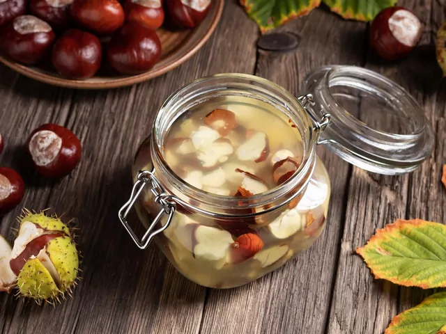 Nalewka z kasztanów: przepisy i zastosowanie