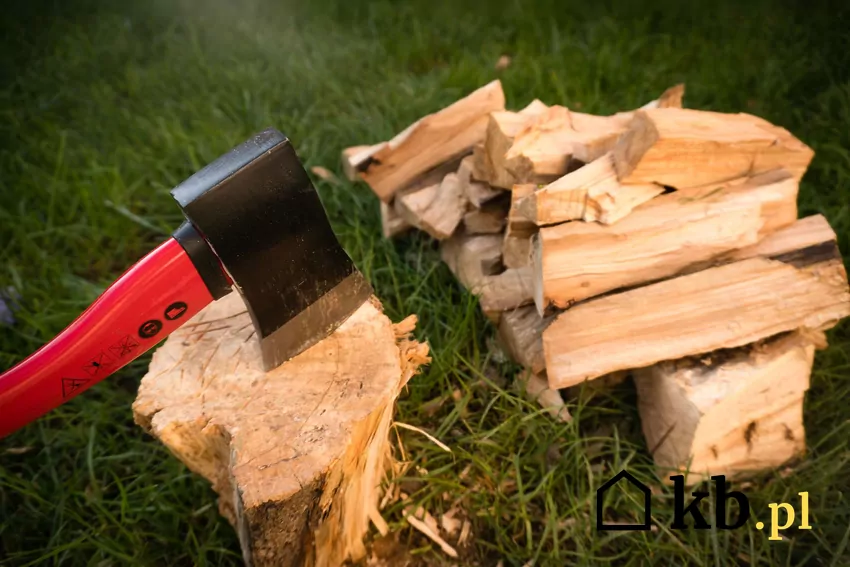 Siekiera wbita w pień i świeżo porąbane drewno opałowe