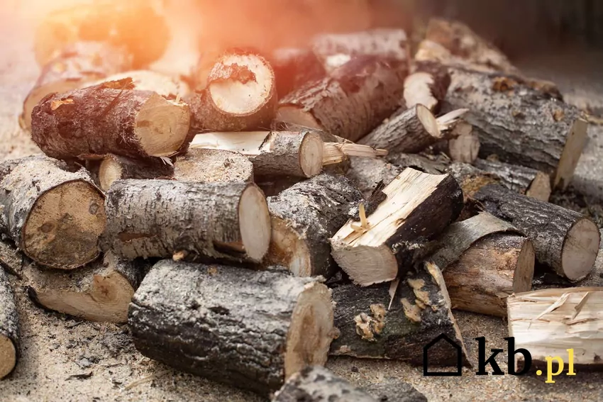 Najtańsze drewno i drewno klasy premium posiadają inne właściwości Sterta drewna opałowego