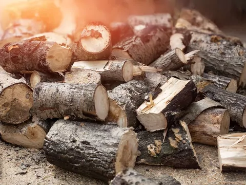 Tanie drewno czy opał klasy premium?