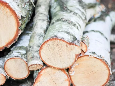 Które drewno opałowe pali się najlepiej?