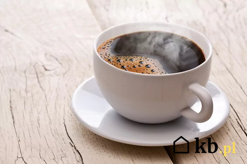 W nowej gazetce ABC dużo ciekawych promocji np. na kawę Kawa