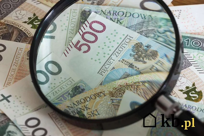 Pozostawieni bez wypłaty odszkodowania, poszkodowani muszą sami radzić sobie z powrotem do sprawności Duża lupa leży na polskich pieniądzach o najwyższych nominałach