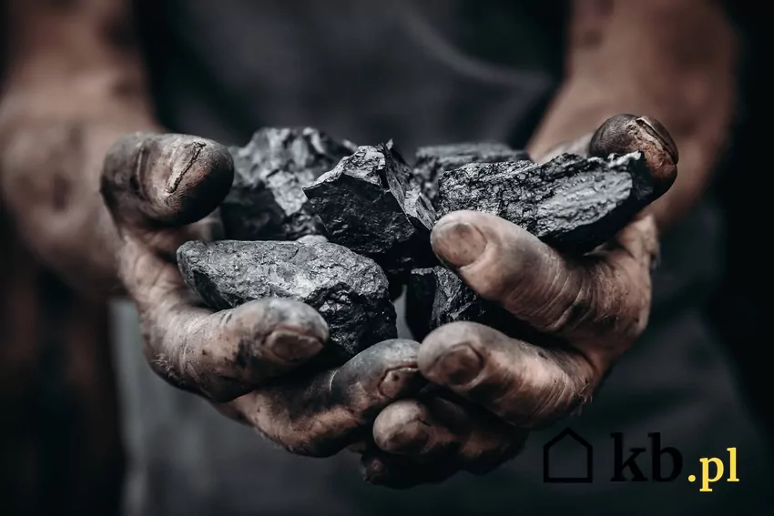 Już za kilkadziesiąt lat Polska zupełnie odejdzie od palenia węglem kamiennym górnik trzyma w dłoniach bryłkę węgla