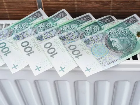 Drewno, pellet czy gaz - koszty