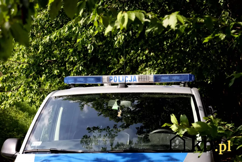 radiowóz policyjny w lesie