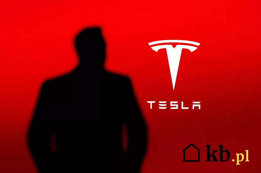 Mężczyzna na tle logo Tesli