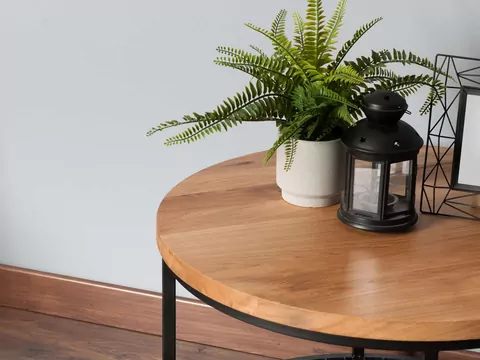 Domowa odżywka do paproci