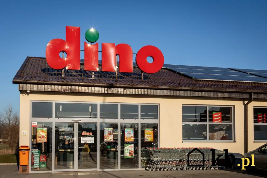 Dino - sklep