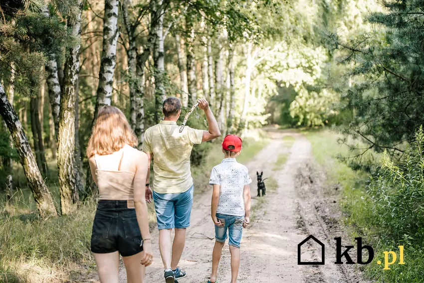 Zjawisko alienacji rodzicielskiej dotyka wielu Polaków Rodzina na spacerze bawi się z psem