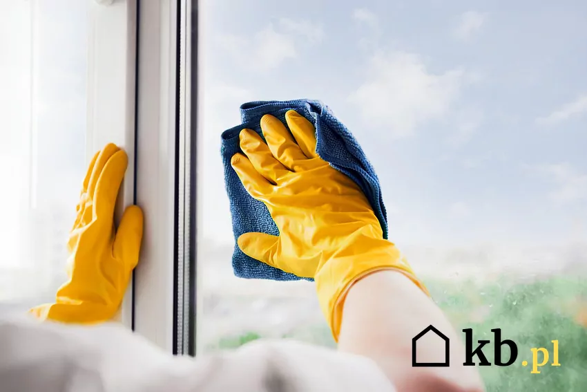 Dzięki domowym trikom możesz doprowadzić czystość swoich okien do perfekcji Mycie okien w rękawiczkach