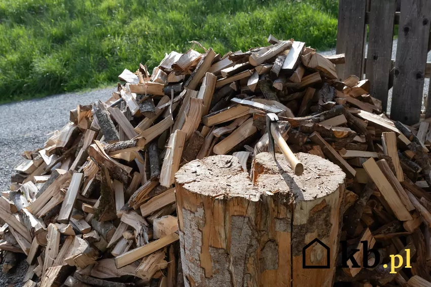 W kominku można spalać różne rodzaje drewna pod warunkiem, że jest suche