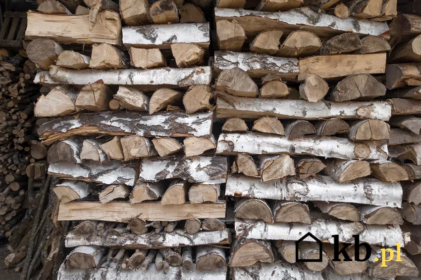 Korę brzozy można wykorzystać do rozpalania w kominku