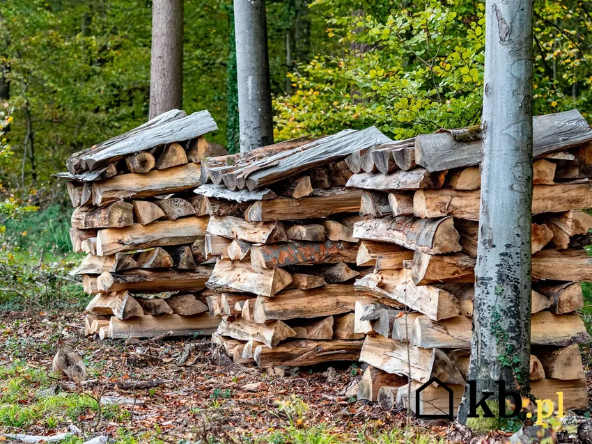 Drewno jest ekonomicznym i efektywnym paliwem Na opał przeznacza się drewno, które nie odpowiada warunkom technicznym drewna użytkowego