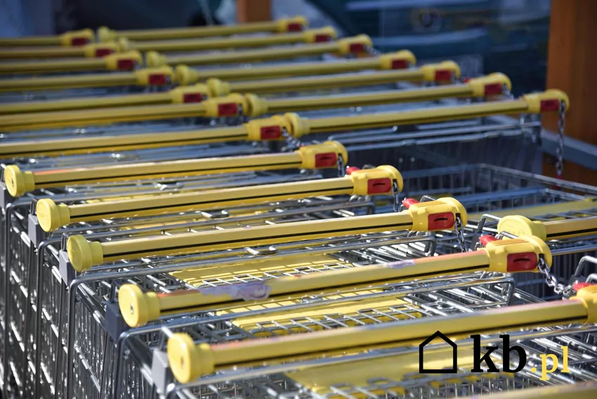 W dniach 17-22 listopada duże obniżki cen w Biedronce Biedronka - wózki sklepowe