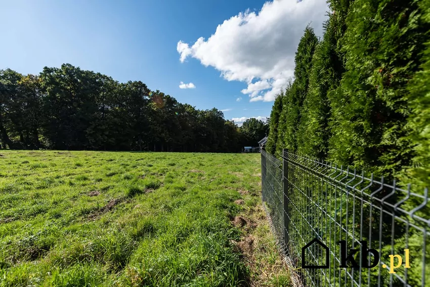 Granica dwóch działek