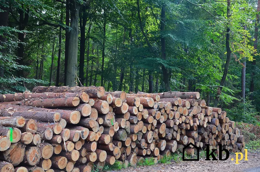 Drewno metrowe wymaga wiele pracy przed paleniem Kubiki pociętego drewna