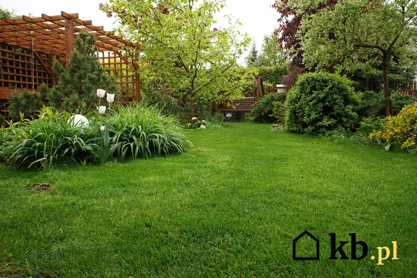 Pokazujemy, jak stworzyć ogród, który nie boi się suszy i upałów ogród