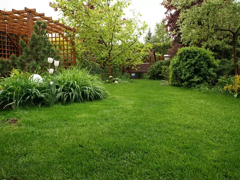 Ogród odporny na suszę