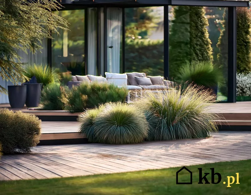 Dobrym pomysłem jest kompozycja łącząca rośliny z trawami ozdobnymi trawy w ogrodzie