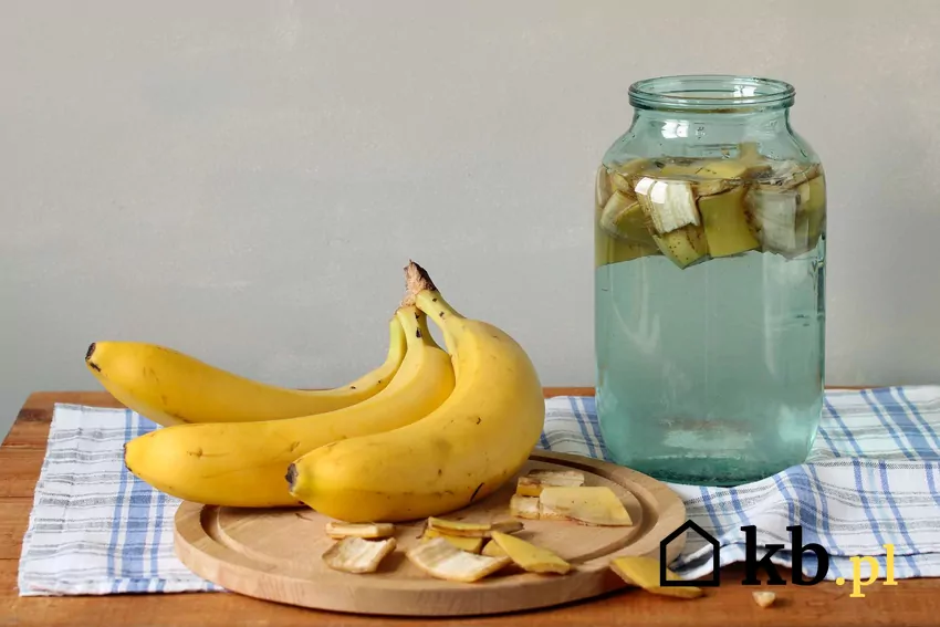 Z bananów można zrobić prosty, ekologiczny nawóz do podlewania i oprysków Nawóz ze skórki z banana