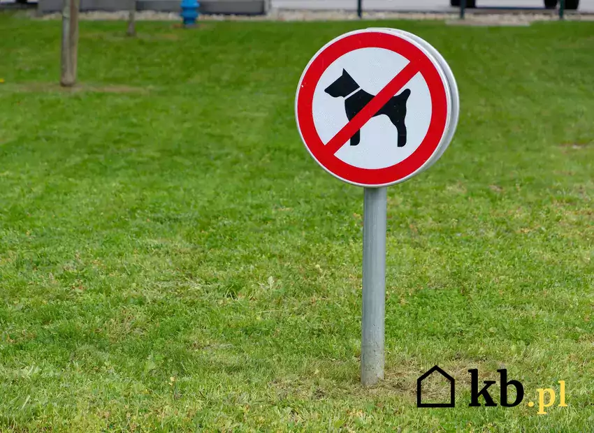 Zakaz wstępu z psem tablica