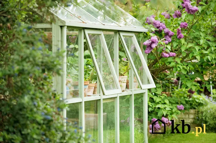 Szklarnia w ogrodzie, jak zbudować samodzielnie szklarnię ze starych okien